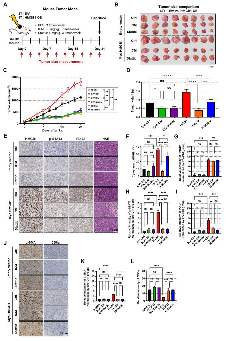 https://cdn.ncbi.nlm.nih.gov/pmc/blobs/dada/12090602/5a3eaebe02d9/10020_2025_1235_Fig5_HTML.jpg