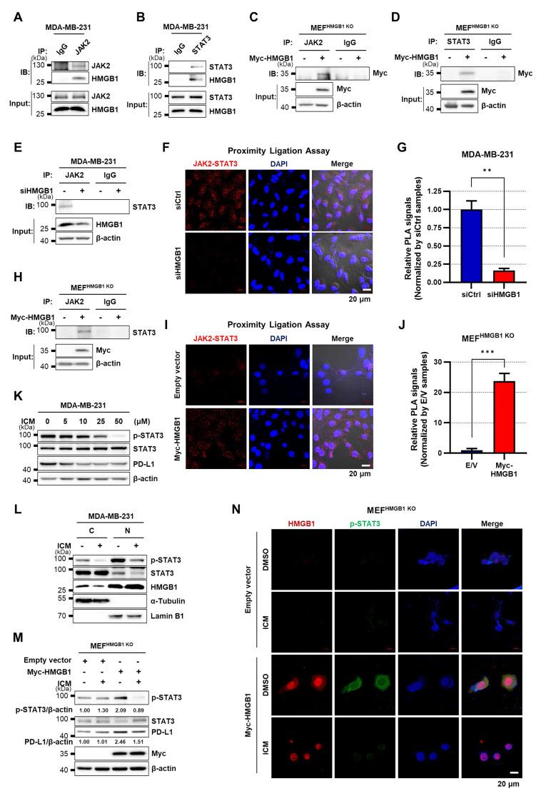 https://cdn.ncbi.nlm.nih.gov/pmc/blobs/dada/12090602/7dcb70a0acde/10020_2025_1235_Fig3_HTML.jpg