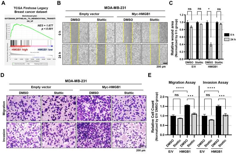 https://cdn.ncbi.nlm.nih.gov/pmc/blobs/dada/12090602/910a409a0353/10020_2025_1235_Fig4_HTML.jpg