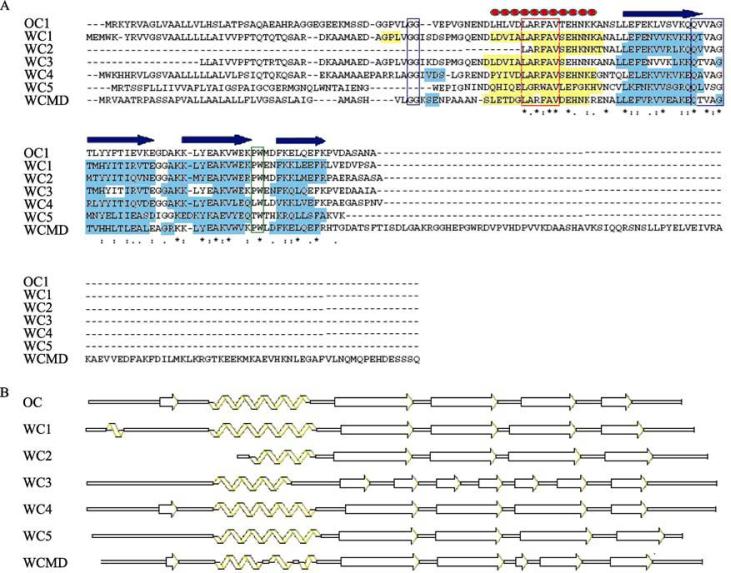 https://cdn.ncbi.nlm.nih.gov/pmc/blobs/dadb/5054136/8e855a6a92f1/gr5.jpg