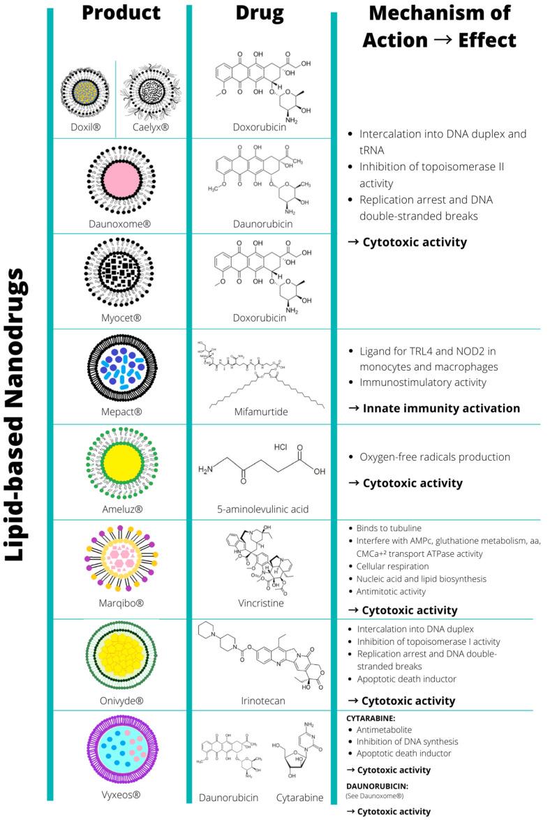 https://cdn.ncbi.nlm.nih.gov/pmc/blobs/dadb/9221343/05479a01da27/biomolecules-12-00784-g001.jpg