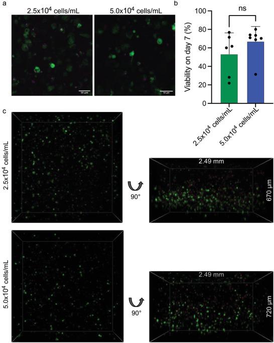 https://cdn.ncbi.nlm.nih.gov/pmc/blobs/dadc/11440629/eb70a58091e7/ADFM-34-0-g007.jpg