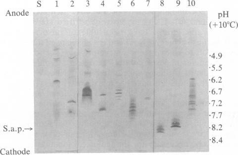 https://cdn.ncbi.nlm.nih.gov/pmc/blobs/dadd/344967/c0757b99ee5a/pnas00607-0008-a.jpg