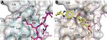 https://cdn.ncbi.nlm.nih.gov/pmc/blobs/dade/6348381/1f27ef59d163/ANIE-57-16302-g002.jpg