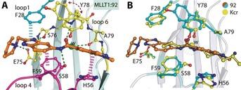 https://cdn.ncbi.nlm.nih.gov/pmc/blobs/dade/6348381/61b2c778350b/ANIE-57-16302-g004.jpg