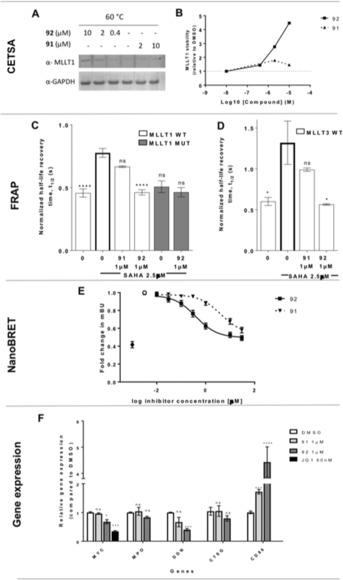 https://cdn.ncbi.nlm.nih.gov/pmc/blobs/dade/6348381/b2173414ae65/ANIE-57-16302-g005.jpg