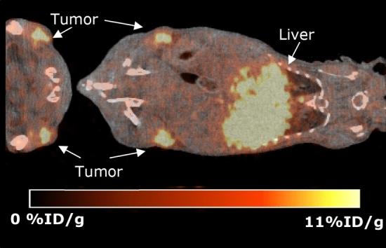 https://cdn.ncbi.nlm.nih.gov/pmc/blobs/dade/8907281/848316e71250/41598_2022_7147_Fig2_HTML.jpg