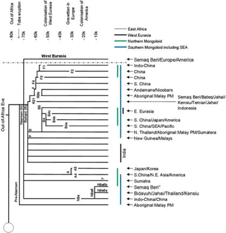 https://cdn.ncbi.nlm.nih.gov/pmc/blobs/dae0/6288409/72e14ea21917/gr2.jpg