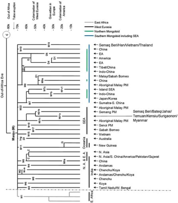 https://cdn.ncbi.nlm.nih.gov/pmc/blobs/dae0/6288409/e3ef659f4683/gr1.jpg