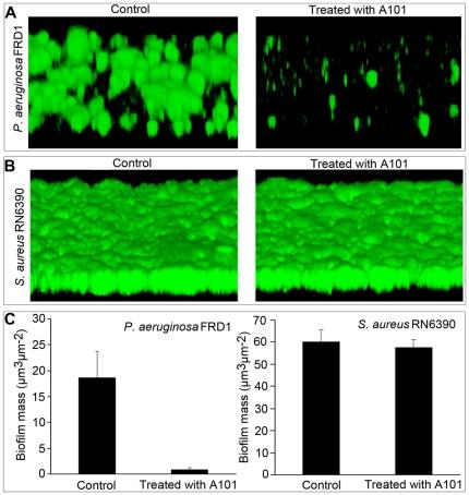 https://cdn.ncbi.nlm.nih.gov/pmc/blobs/dae3/3072402/8069bd770632/pone.0018514.g007.jpg