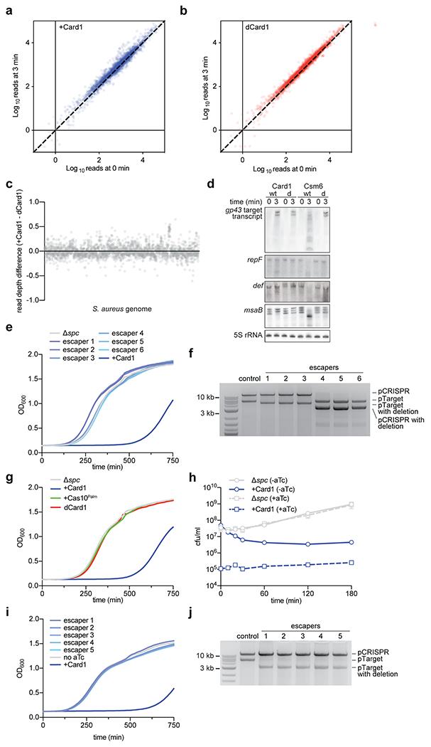 https://cdn.ncbi.nlm.nih.gov/pmc/blobs/dae5/7906951/96e5e55f9b86/nihms-1661286-f0011.jpg