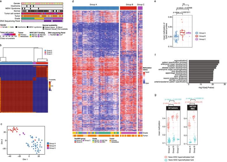 https://cdn.ncbi.nlm.nih.gov/pmc/blobs/dae5/8886788/181534fb53af/13073_2022_1018_Fig1_HTML.jpg