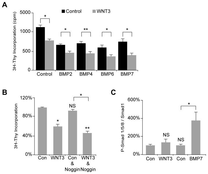 https://cdn.ncbi.nlm.nih.gov/pmc/blobs/dae6/3841149/5c39f7cc693f/pone.0081769.g004.jpg
