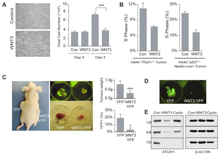 https://cdn.ncbi.nlm.nih.gov/pmc/blobs/dae6/3841149/b04956984bb1/pone.0081769.g005.jpg