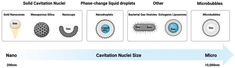 https://cdn.ncbi.nlm.nih.gov/pmc/blobs/dae7/10708135/984c2ebb524b/molecules-28-07733-g002.jpg