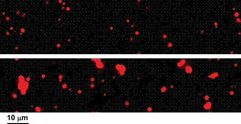 https://cdn.ncbi.nlm.nih.gov/pmc/blobs/dae7/4003189/265a51acbe39/JGP_201311123_Fig17.jpg