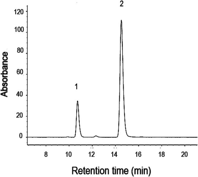 https://cdn.ncbi.nlm.nih.gov/pmc/blobs/dae7/8116649/c49971dbd45f/fphar-12-641090-g002.jpg