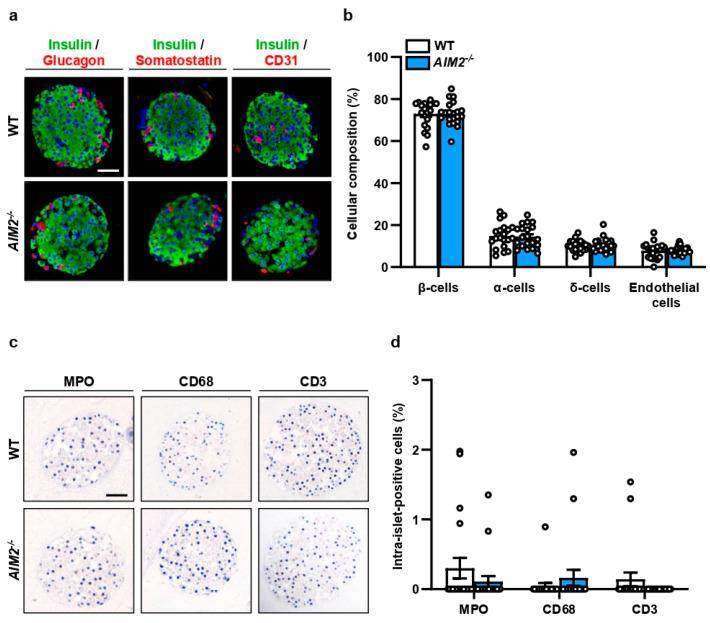 https://cdn.ncbi.nlm.nih.gov/pmc/blobs/dae8/10778091/89d05ab543ab/cells-13-00016-g001.jpg