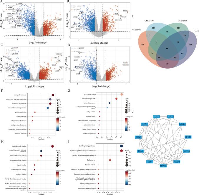 https://cdn.ncbi.nlm.nih.gov/pmc/blobs/daeb/11144179/7049b8b1dd97/12672_2024_1044_Fig1_HTML.jpg