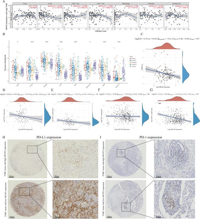 https://cdn.ncbi.nlm.nih.gov/pmc/blobs/daeb/11144179/a76fb840637f/12672_2024_1044_Fig6_HTML.jpg