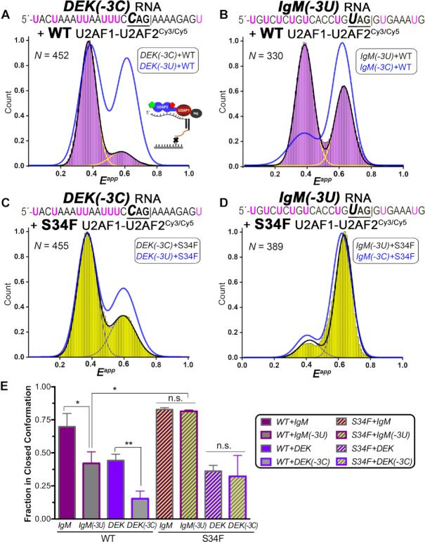 https://cdn.ncbi.nlm.nih.gov/pmc/blobs/daed/7261175/ac483068c3e7/gkaa293fig7.jpg