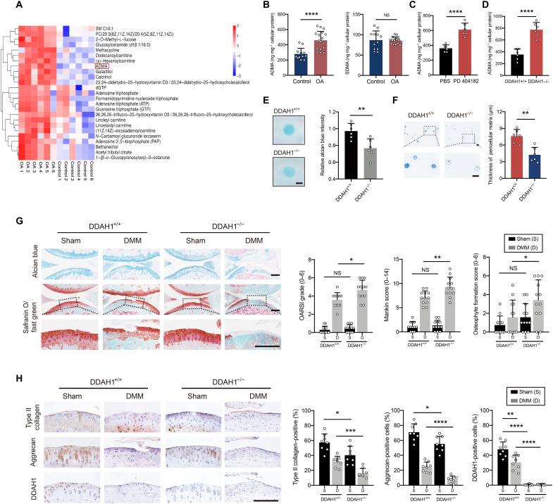 https://cdn.ncbi.nlm.nih.gov/pmc/blobs/daf0/9908022/c4aca185efe9/sciadv.ade5584-f1.jpg