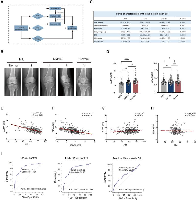 https://cdn.ncbi.nlm.nih.gov/pmc/blobs/daf0/9908022/f79afd0ca831/sciadv.ade5584-f5.jpg
