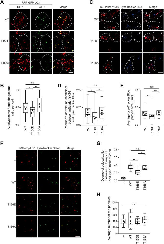 https://cdn.ncbi.nlm.nih.gov/pmc/blobs/daf1/10022743/af6bf98f331a/joces-136-260546-g4.jpg