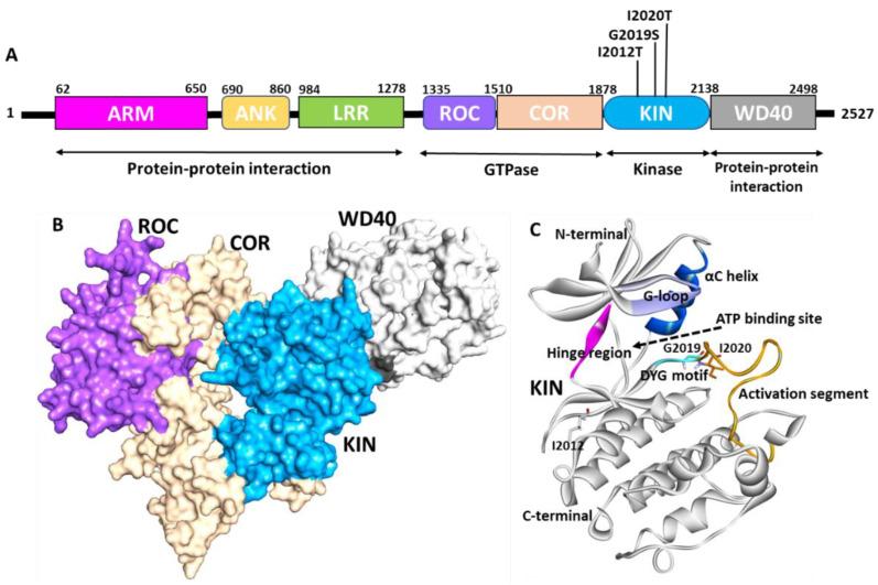 https://cdn.ncbi.nlm.nih.gov/pmc/blobs/daf1/9408223/b047db91ae62/genes-13-01426-g001.jpg