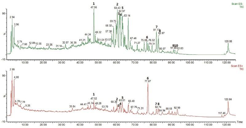 https://cdn.ncbi.nlm.nih.gov/pmc/blobs/daf2/6470332/e2da35f410eb/fphar-10-00381-g001.jpg