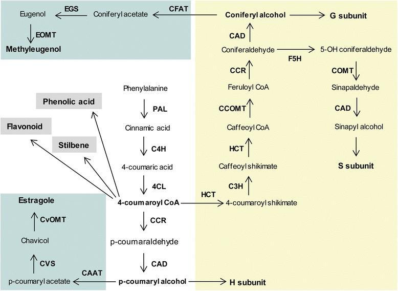 https://cdn.ncbi.nlm.nih.gov/pmc/blobs/daf5/5701422/9383c0d18cfb/12870_2017_1174_Fig1_HTML.jpg