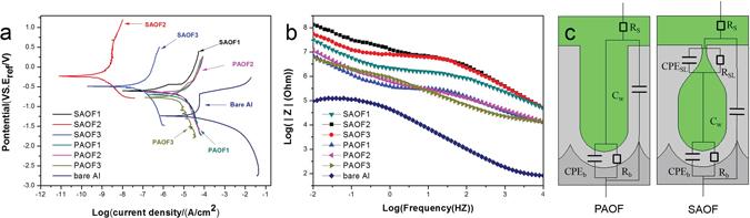 https://cdn.ncbi.nlm.nih.gov/pmc/blobs/daf6/5430995/9859d58149cd/41598_2017_1549_Fig2_HTML.jpg