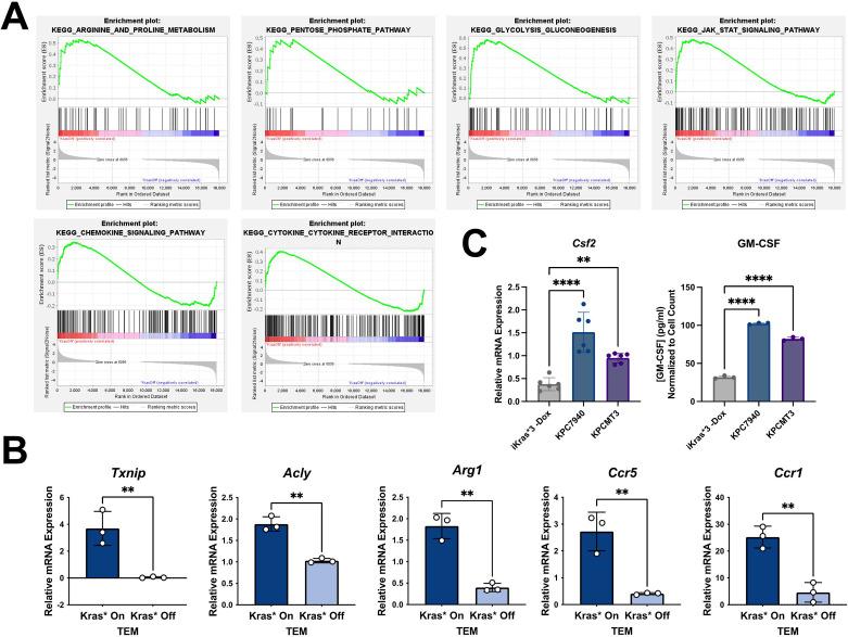 https://cdn.ncbi.nlm.nih.gov/pmc/blobs/daf6/8843093/16378b08c5aa/elife-73796-fig4-figsupp1.jpg