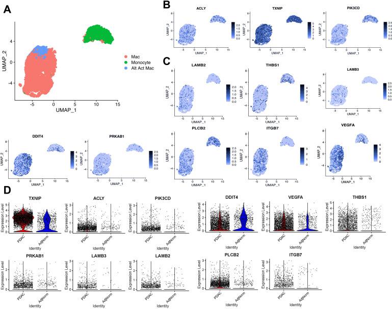 https://cdn.ncbi.nlm.nih.gov/pmc/blobs/daf6/8843093/225ac8760160/elife-73796-fig3.jpg