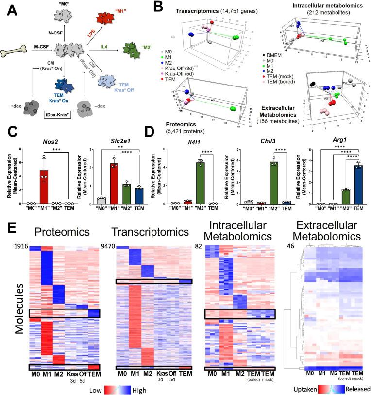 https://cdn.ncbi.nlm.nih.gov/pmc/blobs/daf6/8843093/57aba8bf3951/elife-73796-fig1.jpg