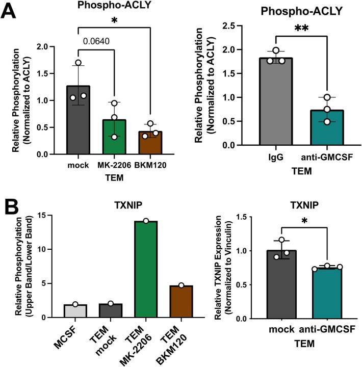 https://cdn.ncbi.nlm.nih.gov/pmc/blobs/daf6/8843093/87bab94d8be4/elife-73796-fig6-figsupp1.jpg