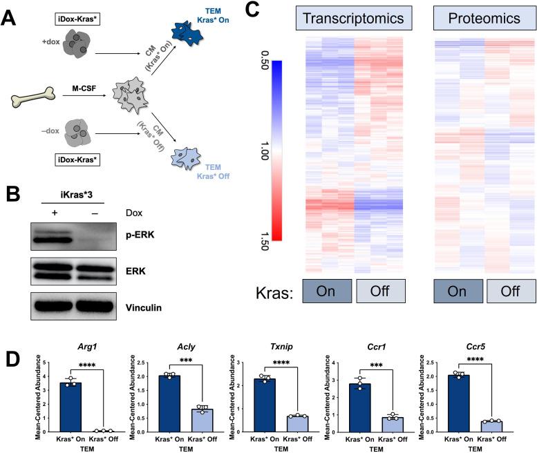 https://cdn.ncbi.nlm.nih.gov/pmc/blobs/daf6/8843093/b78ed2f3bc71/elife-73796-fig4.jpg