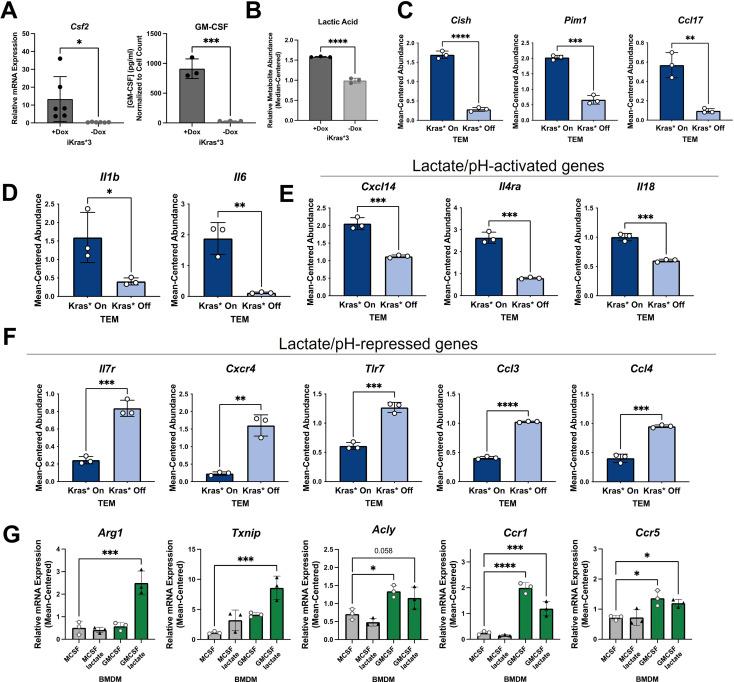https://cdn.ncbi.nlm.nih.gov/pmc/blobs/daf6/8843093/cf1e0715533b/elife-73796-fig5.jpg