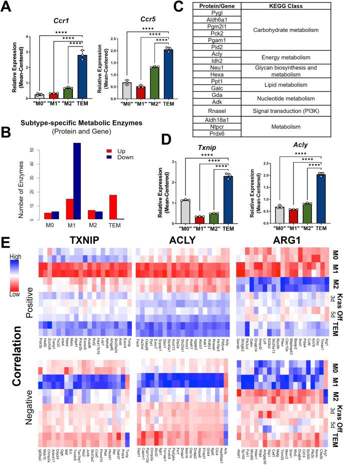 https://cdn.ncbi.nlm.nih.gov/pmc/blobs/daf6/8843093/d855493732df/elife-73796-fig2.jpg