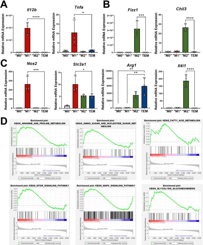 https://cdn.ncbi.nlm.nih.gov/pmc/blobs/daf6/8843093/f7aa60a67aee/elife-73796-fig1-figsupp1.jpg