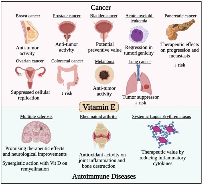 https://cdn.ncbi.nlm.nih.gov/pmc/blobs/daf6/9604733/d95d19e0d66f/life-12-01654-g006.jpg