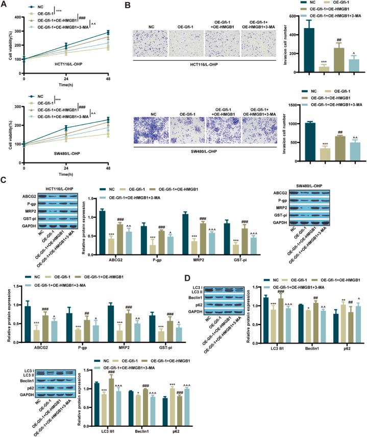 https://cdn.ncbi.nlm.nih.gov/pmc/blobs/daf7/11058305/9502791a1e31/gr5.jpg