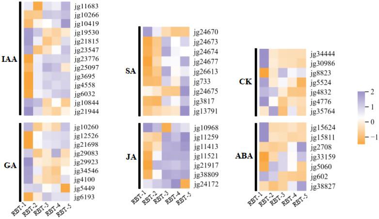 https://cdn.ncbi.nlm.nih.gov/pmc/blobs/dafb/12106431/38e208a3c06f/fpls-16-1549458-g006.jpg