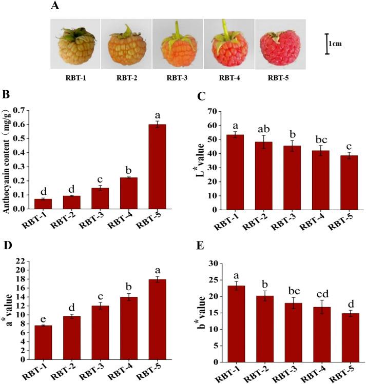 https://cdn.ncbi.nlm.nih.gov/pmc/blobs/dafb/12106431/c9ec42698045/fpls-16-1549458-g001.jpg