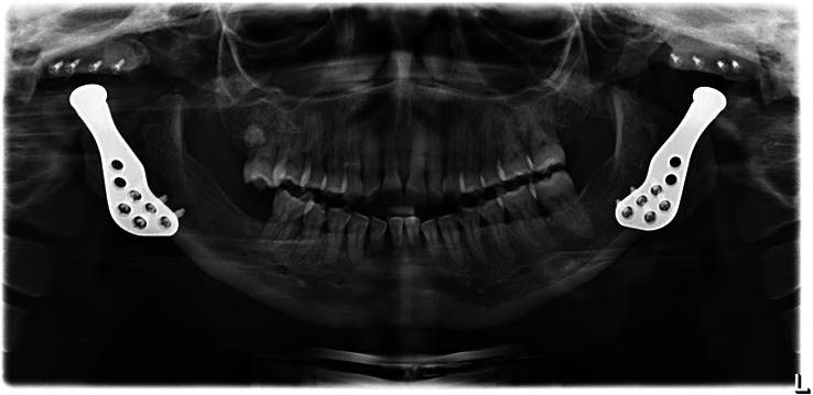 https://cdn.ncbi.nlm.nih.gov/pmc/blobs/dafe/11346698/6630fdfb0296/scs-35-e536-g002.jpg