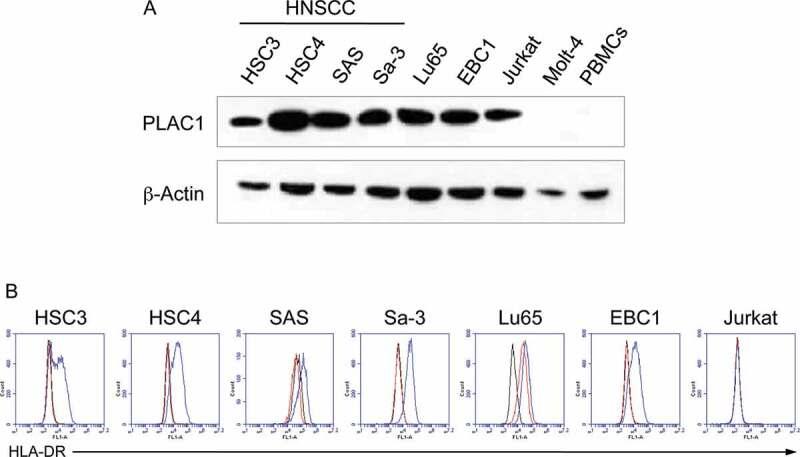 https://cdn.ncbi.nlm.nih.gov/pmc/blobs/dafe/7781841/e303af9baf83/KONI_A_1856545_F0002_OC.jpg