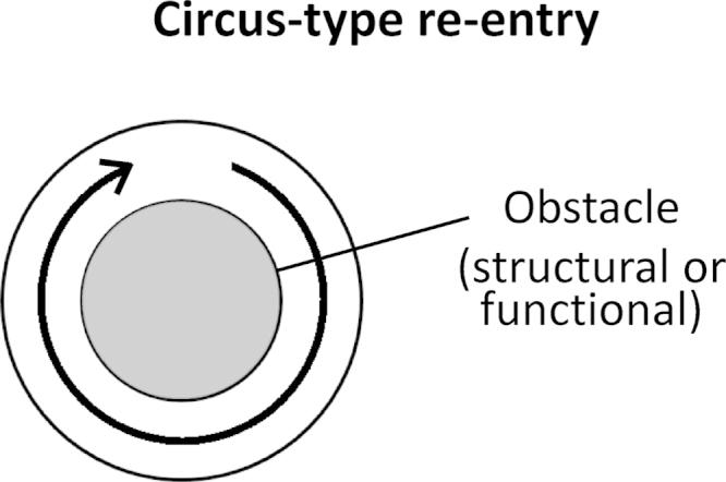 https://cdn.ncbi.nlm.nih.gov/pmc/blobs/daff/4823581/5e2bad512f83/gr4.jpg