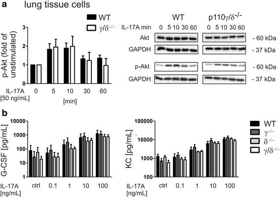 https://cdn.ncbi.nlm.nih.gov/pmc/blobs/daff/5518148/9d9159a0072a/12964_2017_185_Fig6_HTML.jpg