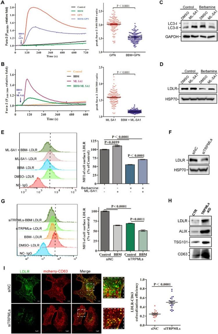 https://cdn.ncbi.nlm.nih.gov/pmc/blobs/daff/8238074/65e76371f166/TEMI_A_1941276_F0004_OC.jpg