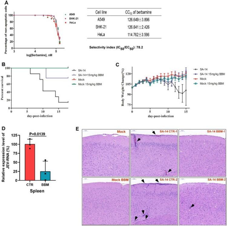 https://cdn.ncbi.nlm.nih.gov/pmc/blobs/daff/8238074/88d43dcc3a61/TEMI_A_1941276_F0006_OC.jpg